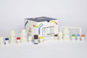 H.pylori / پیشتاز طب / کیت 
